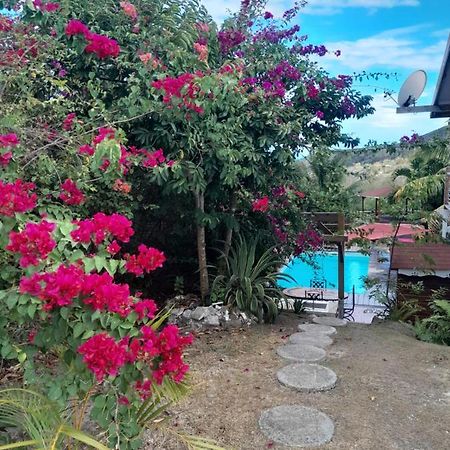 Le Diamant Charmante Villa Pour La Famille Ou Entre Amis Spa Et Piscine Kültér fotó